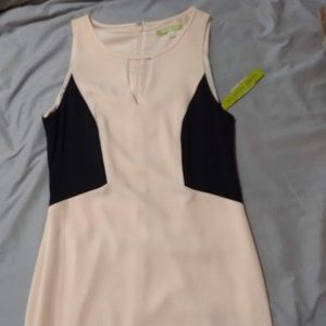 Pink Dress